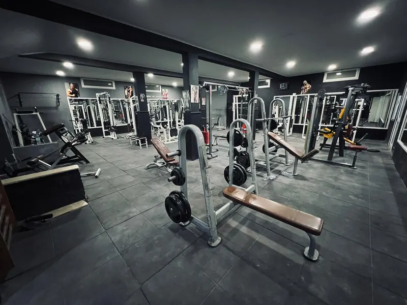 MONSTER GYM
