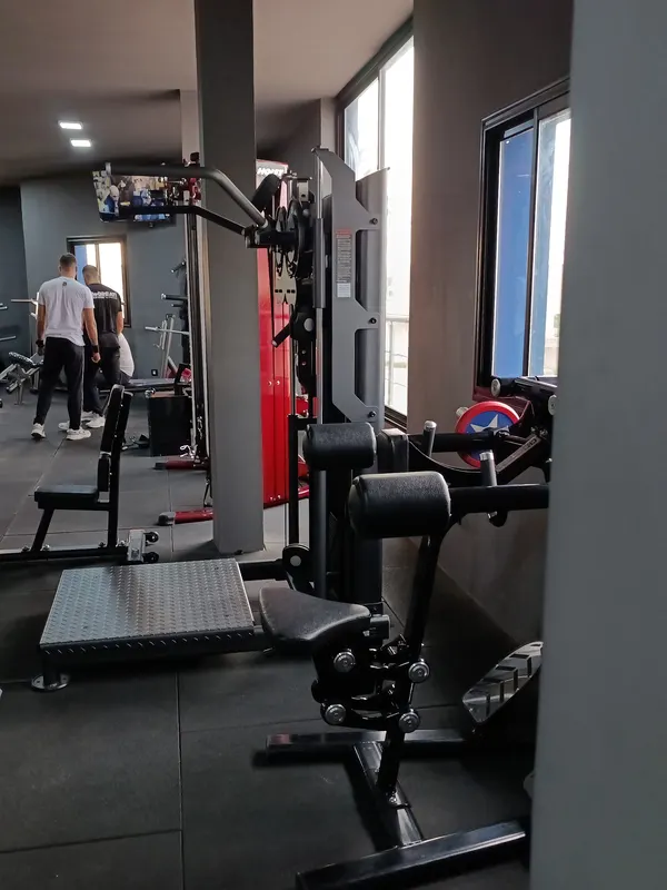 VIP WOLF GYM