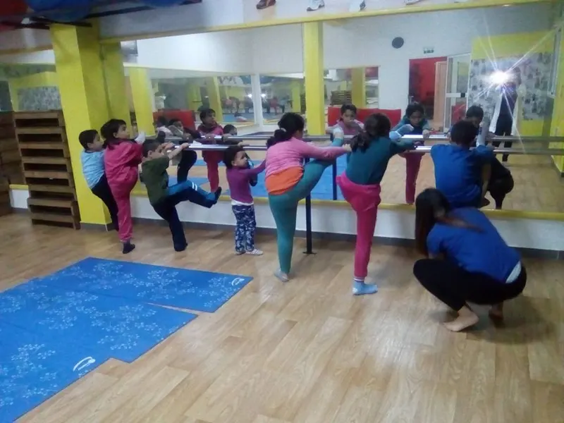 Panda gym teboulba