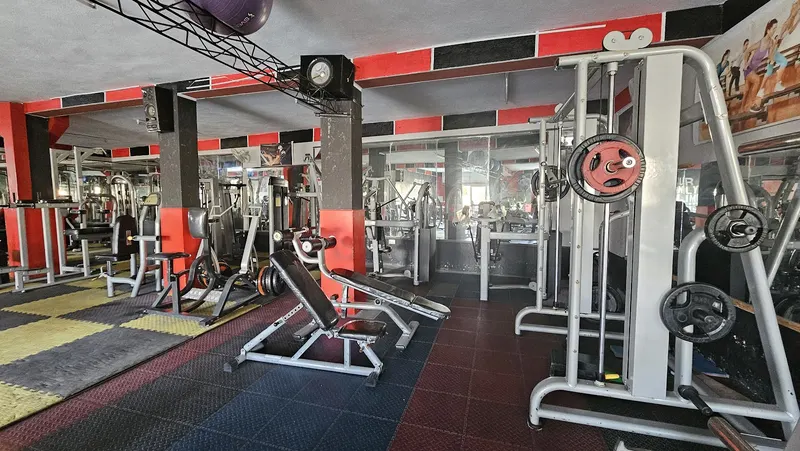 WAEL GYM