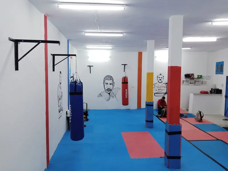 Académie sportive des arts martiaux à Carthage
