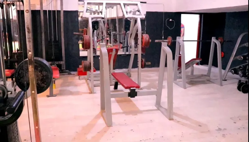 The Muscle Factory