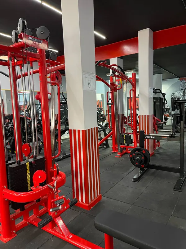 Warriors GYM