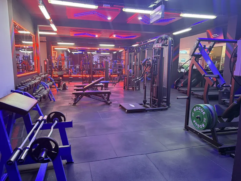 Stay Fit
