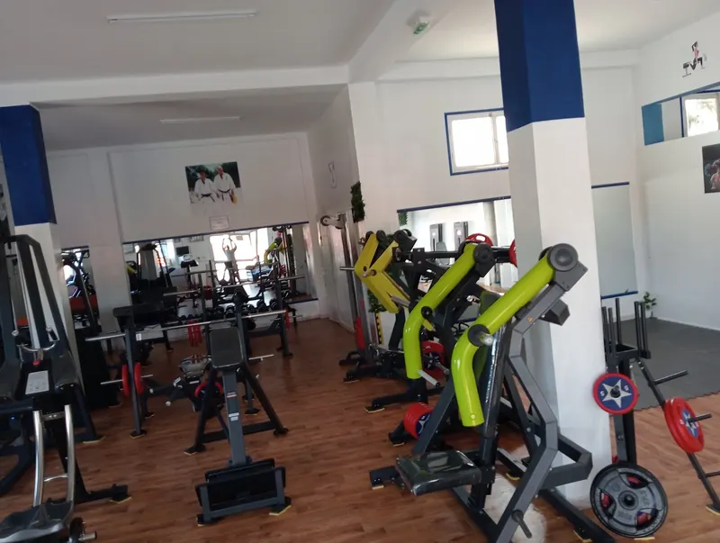 Park Fitness