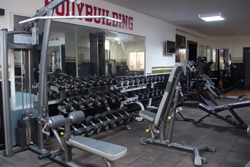 MT GYM