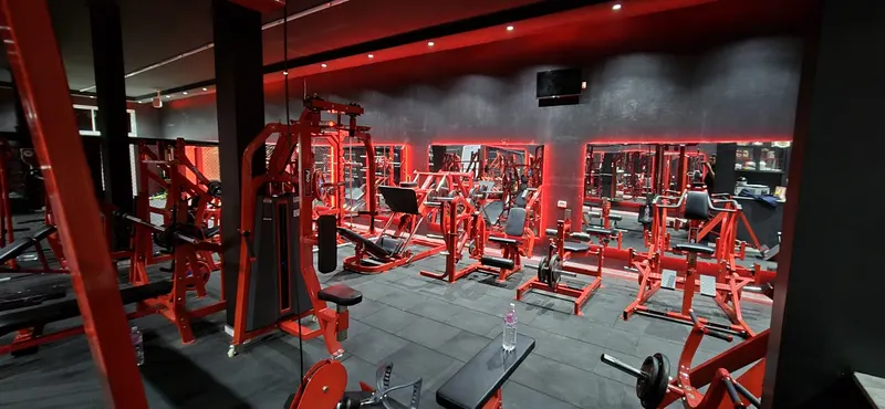 Dragons lair Gym Zouiet Megaiez