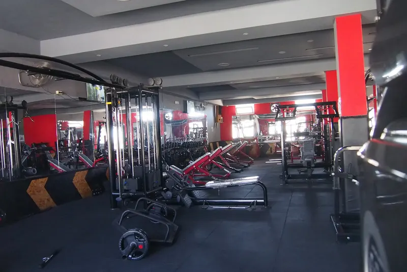 My gym