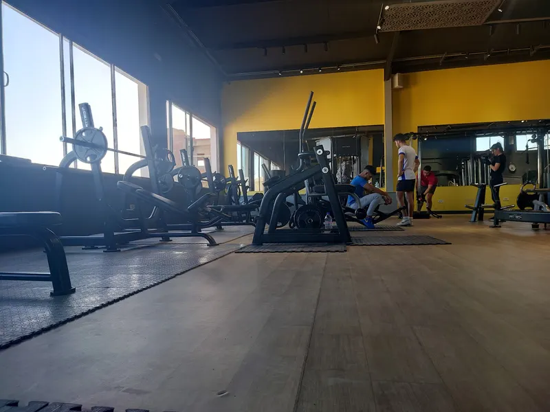 Paradise gym