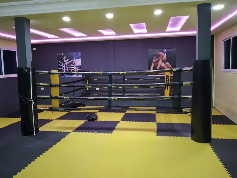 Tiger gym