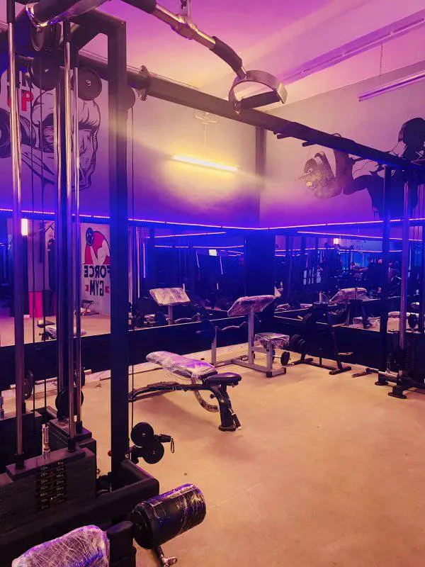 Force Gym