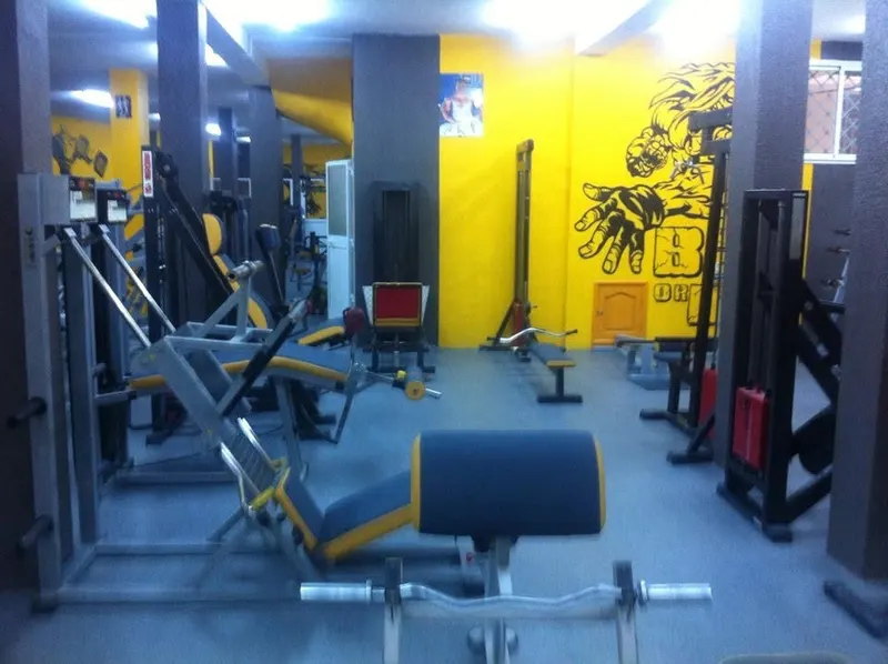 Body Form Gym