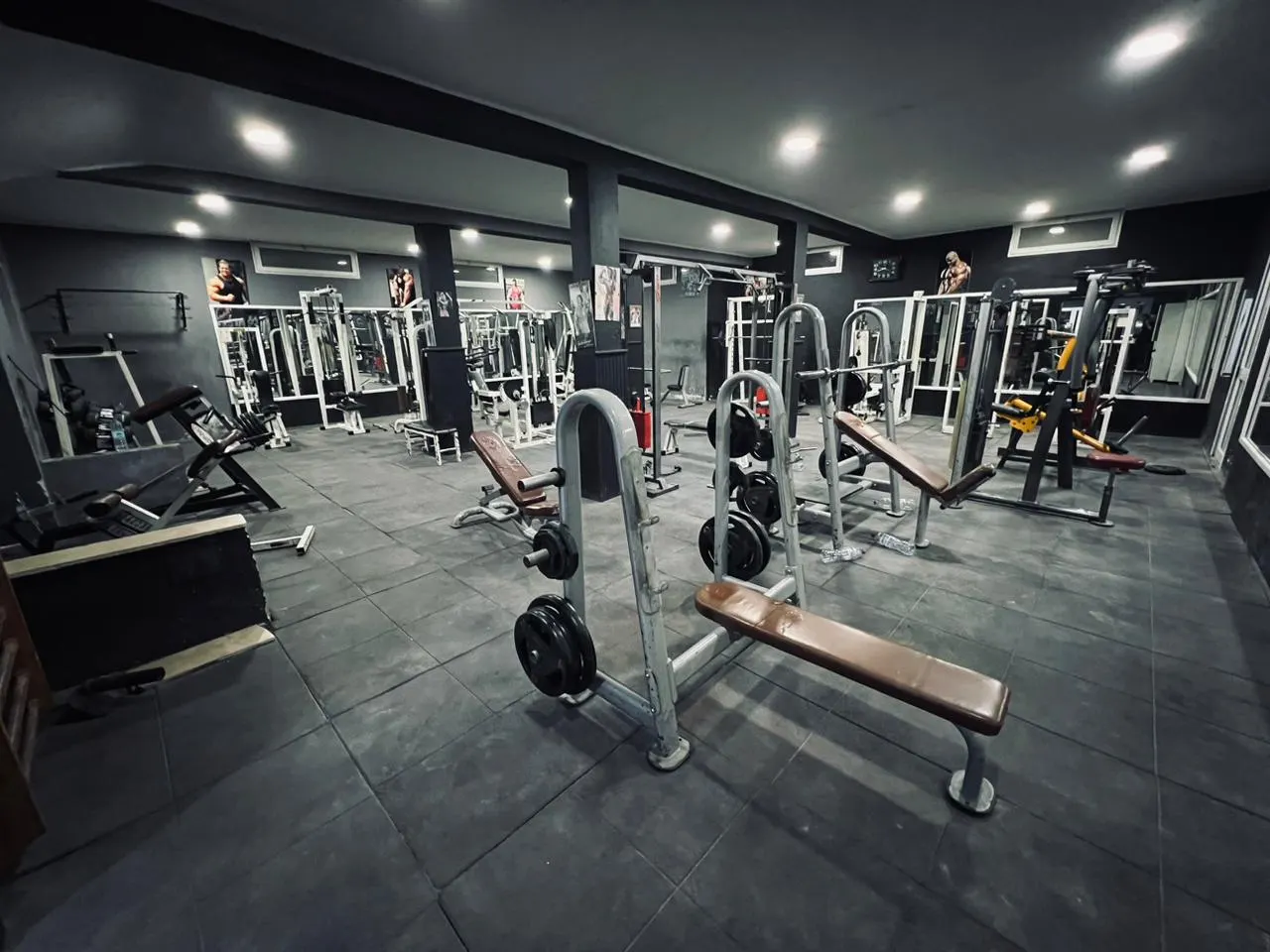 MONSTER GYM