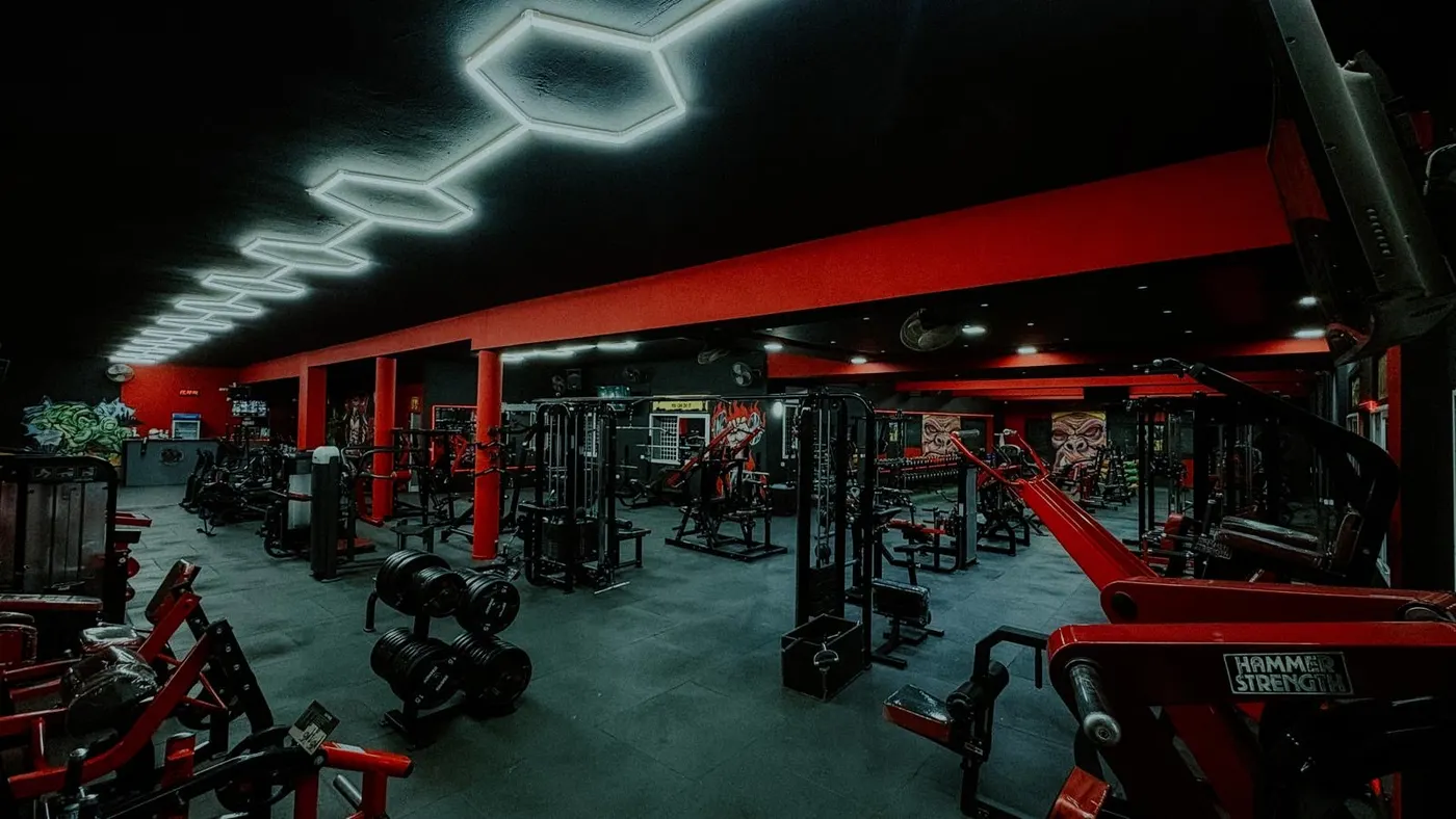 Gorilla Gym Ariana