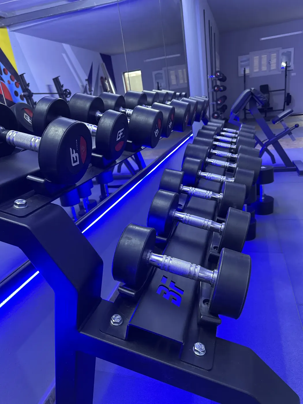 Wake up gym