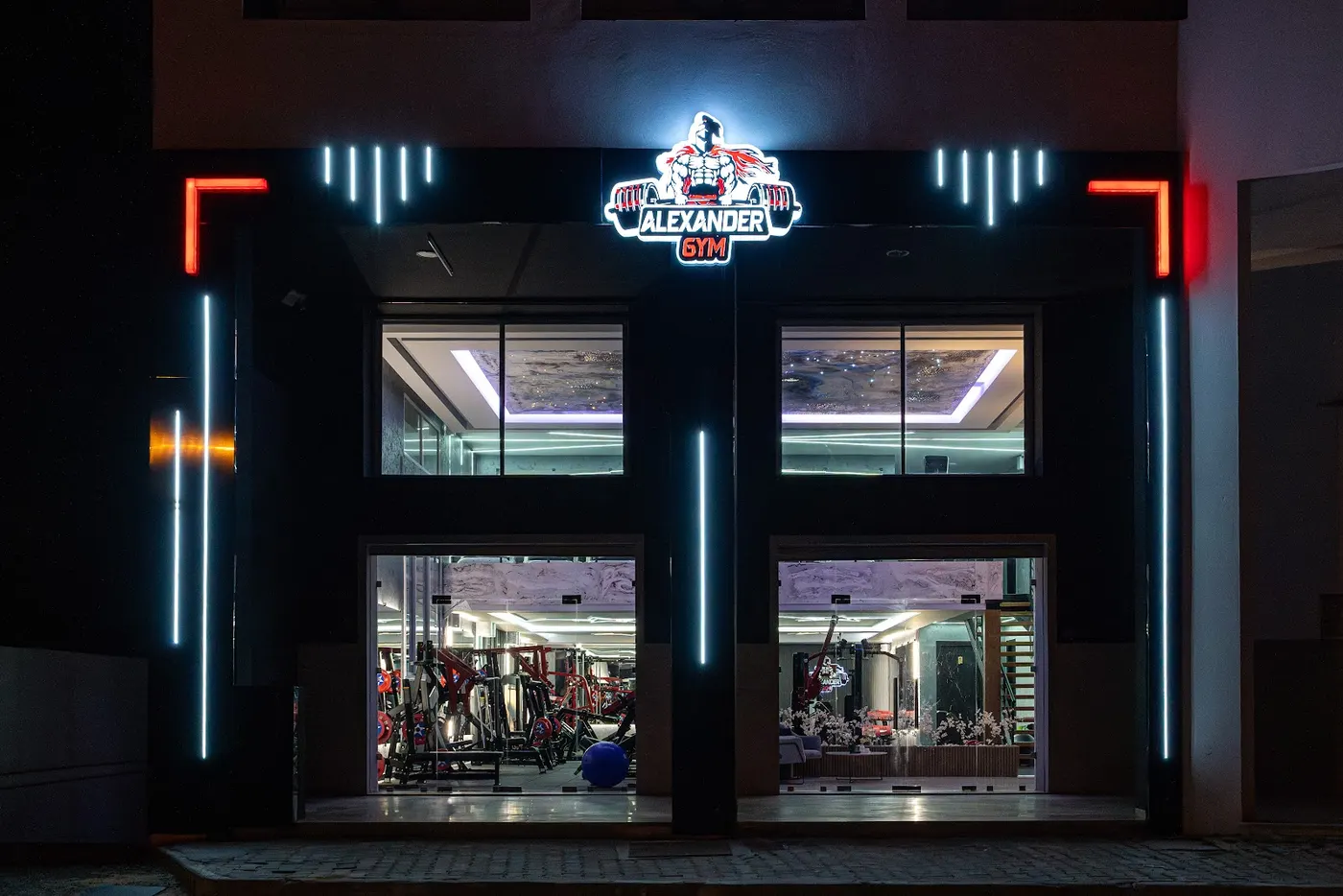 ALEXANDER GYM