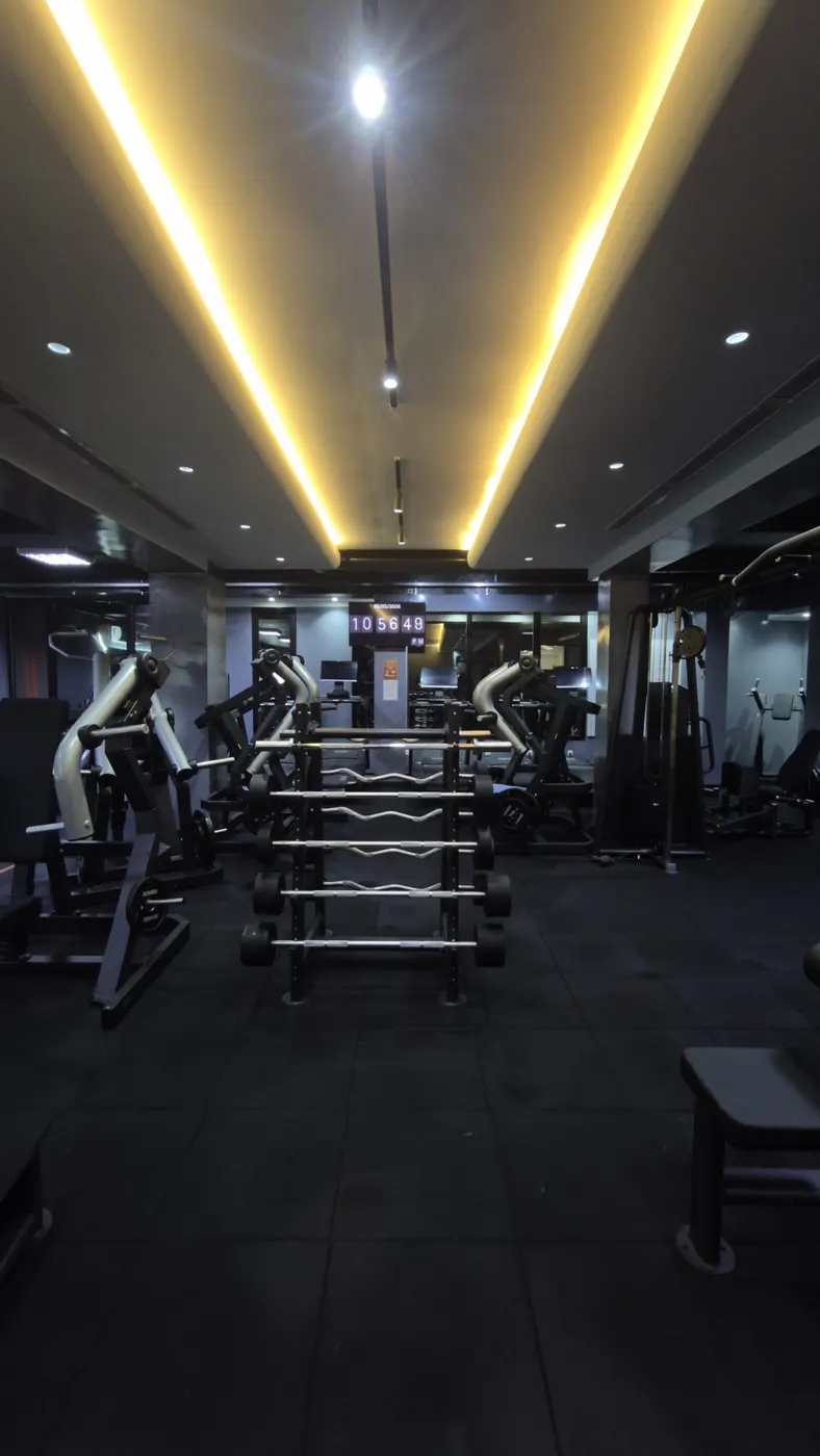 AVS GYM