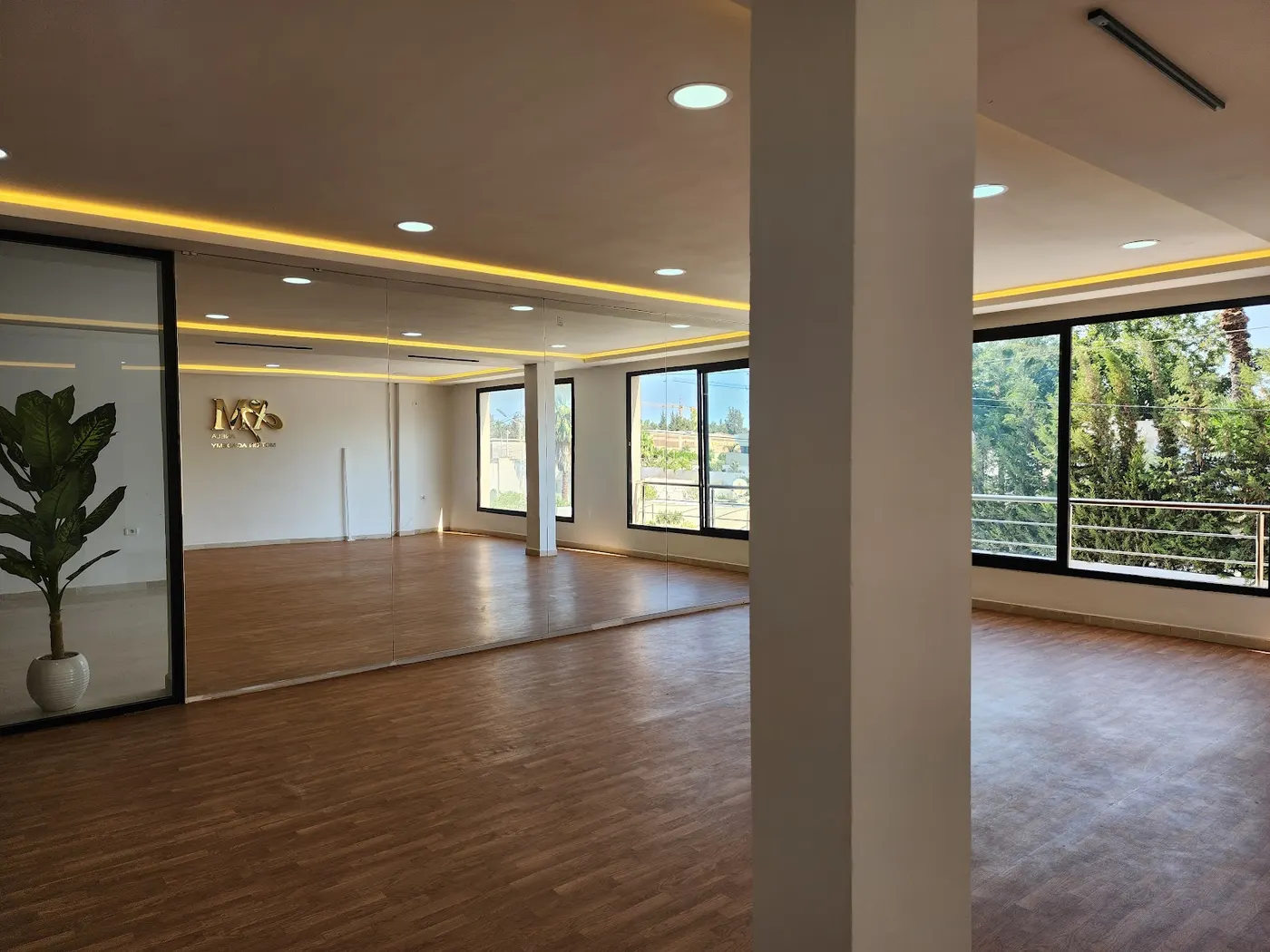 Anela motion studio