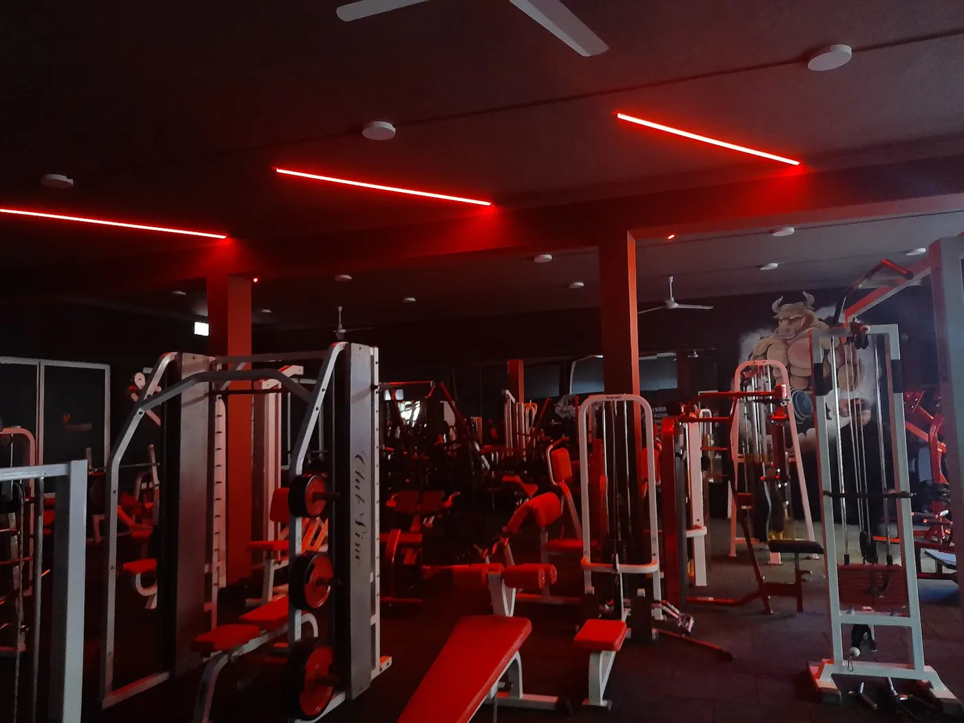 Big house gym