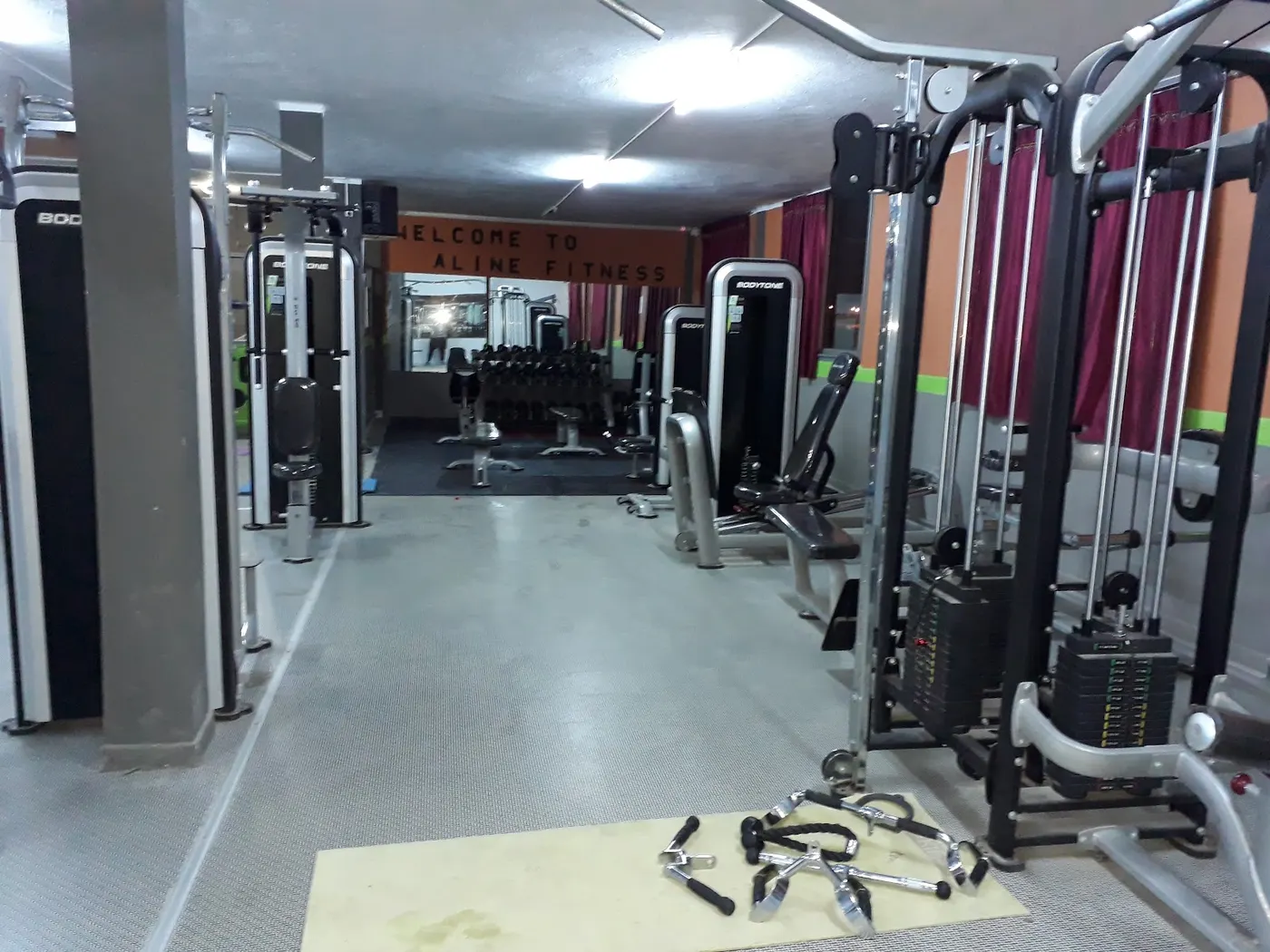 Aline Fitness