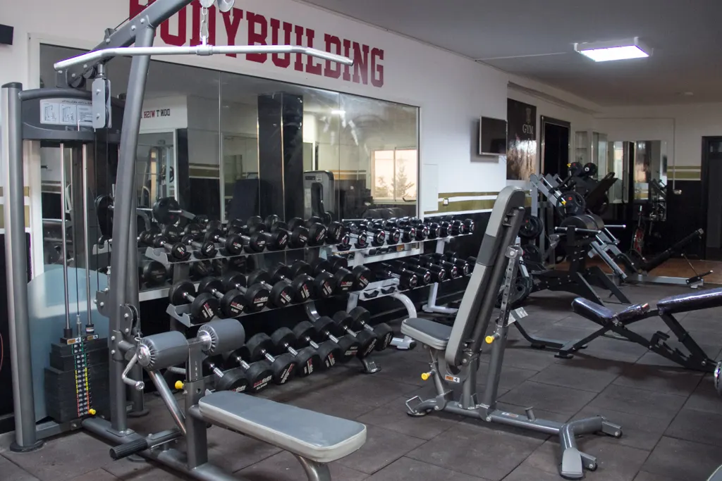 MT GYM