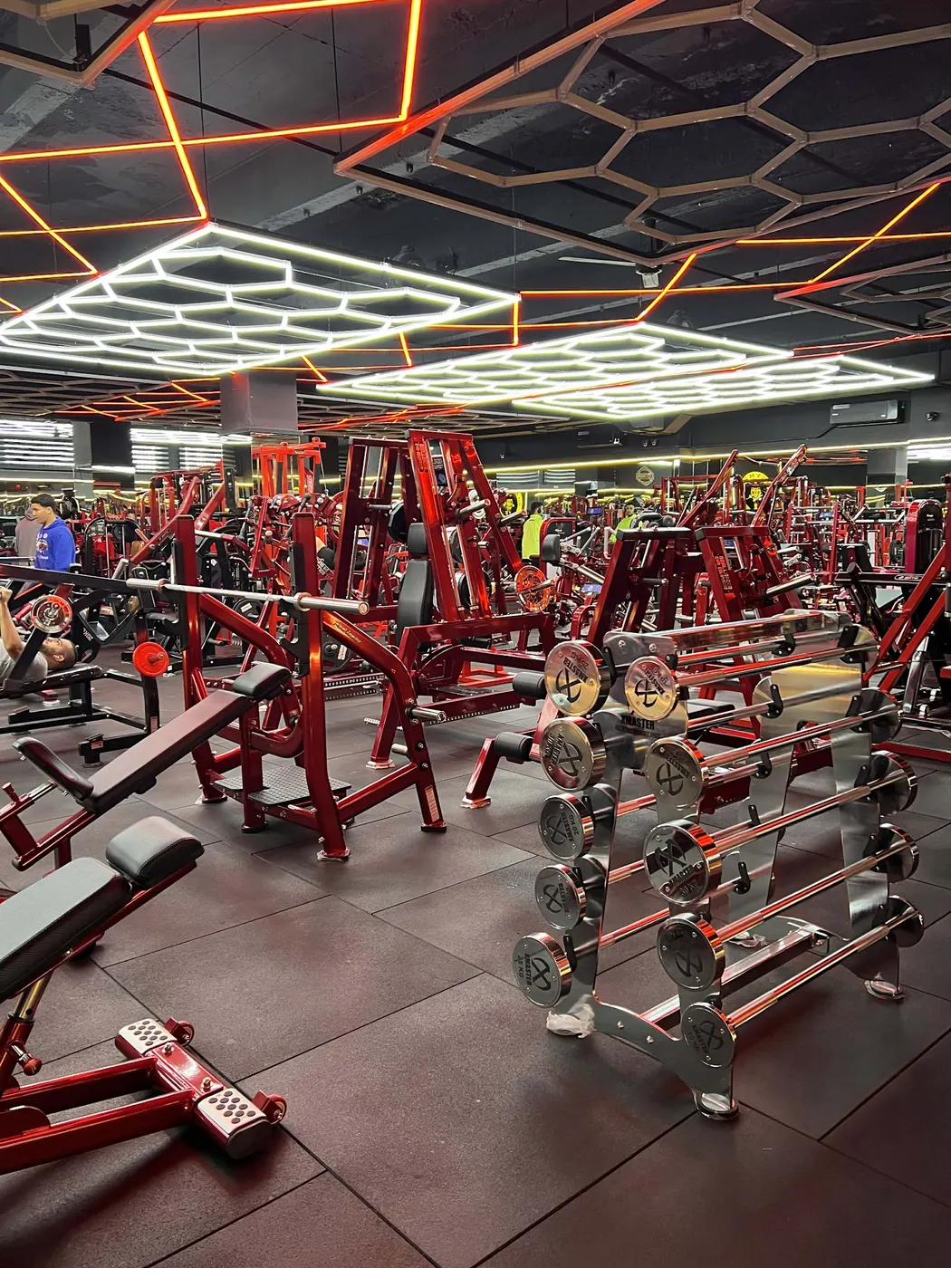Top gym plus