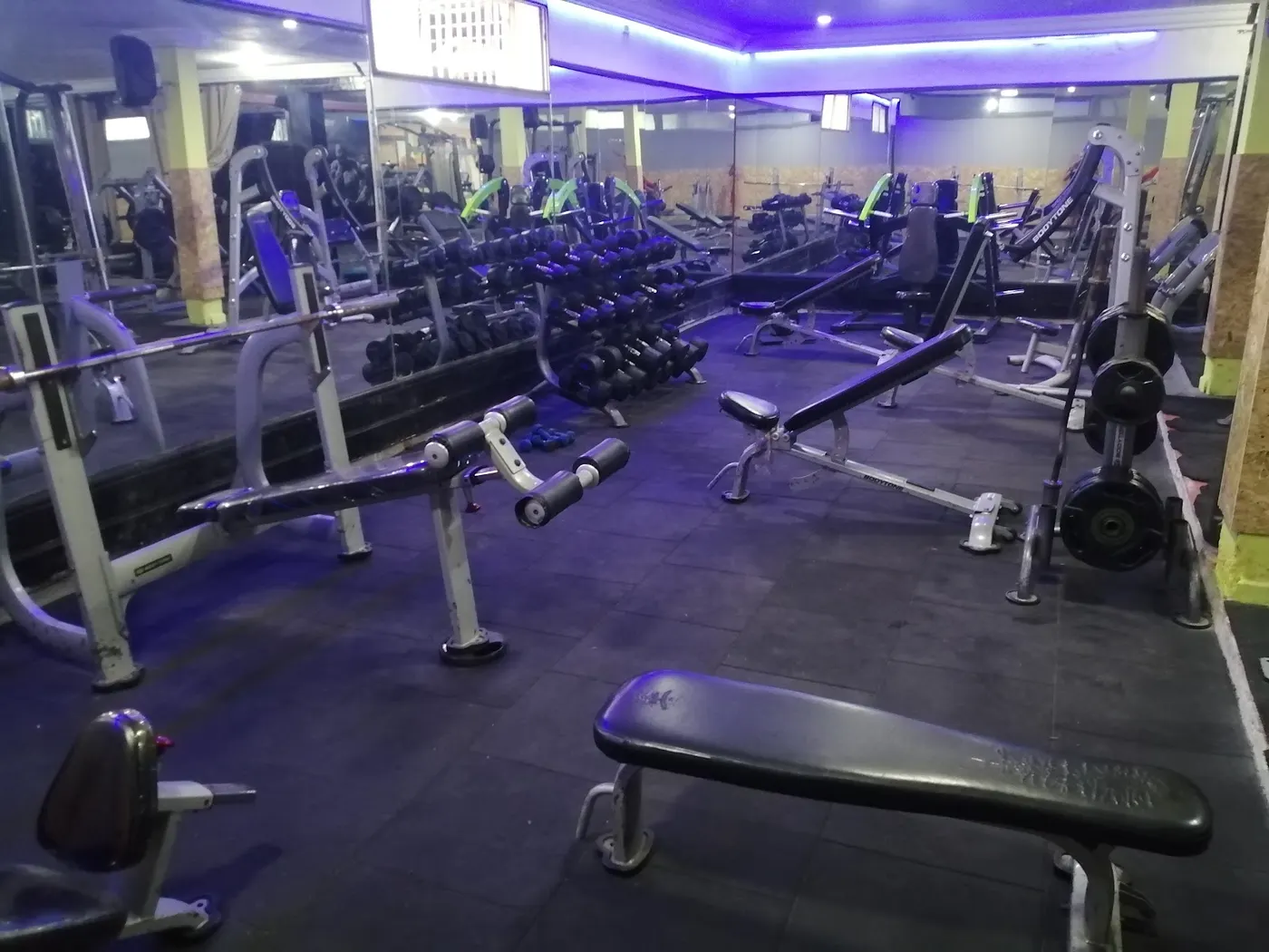 Body Gym