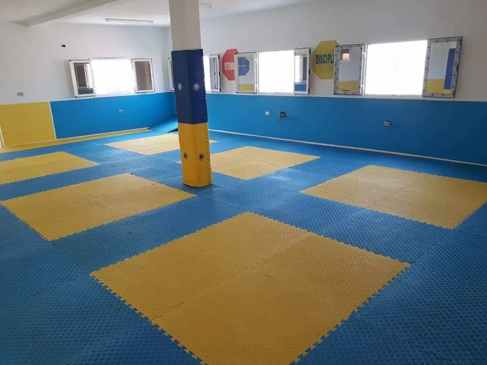Future Sport Academy Master ALOUI ALI Taekwondo