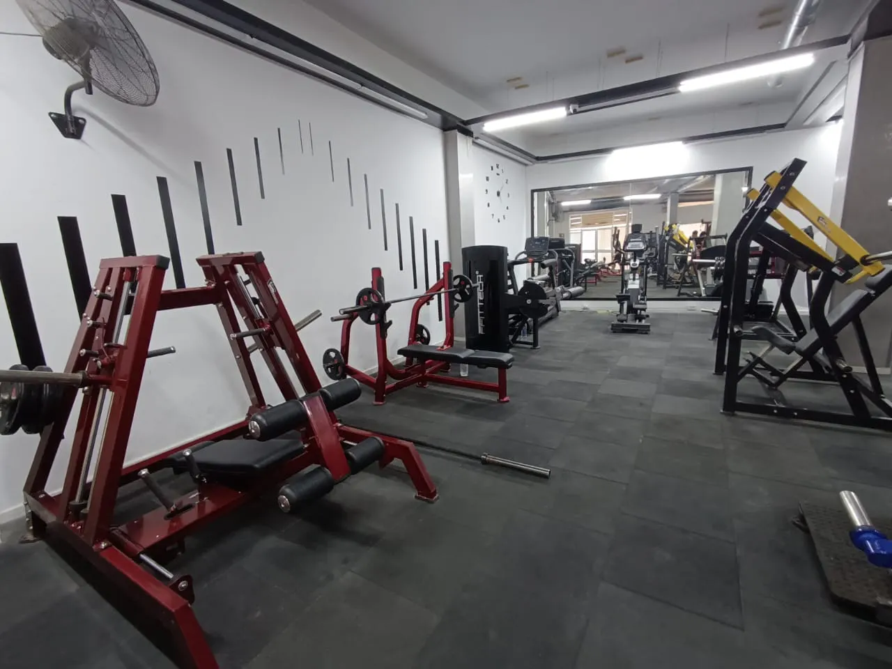 GRINTA GYM korba