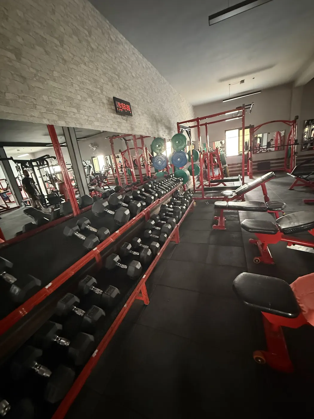 Wolf Gym