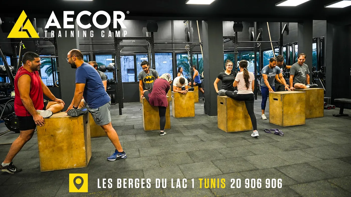 Aecor CF Box