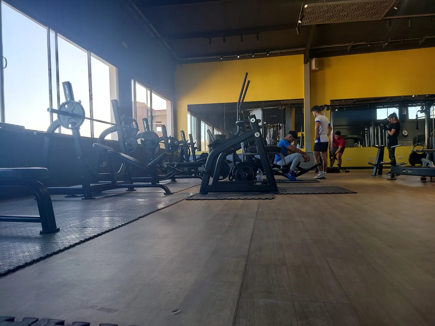 Paradise gym